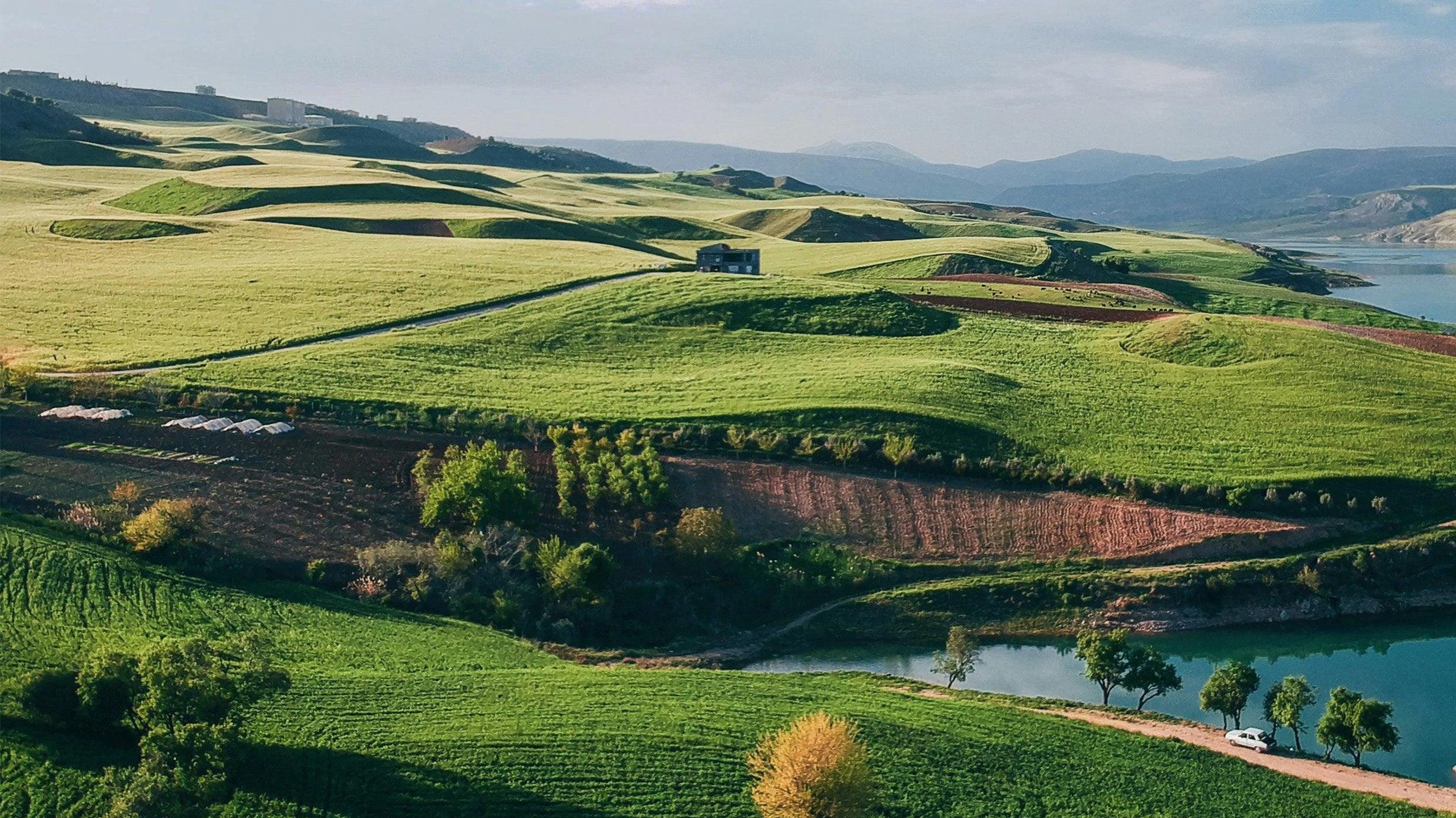 LINTICO's 2025 Linen Trend: Embracing Earth Tones